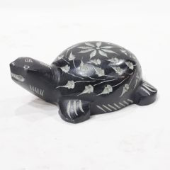 Tortoise Black || Black || Saras Aajeevika